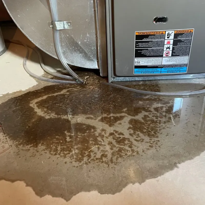 Pipe Burst and Leak Restoration in Shenandoah Heights, PA