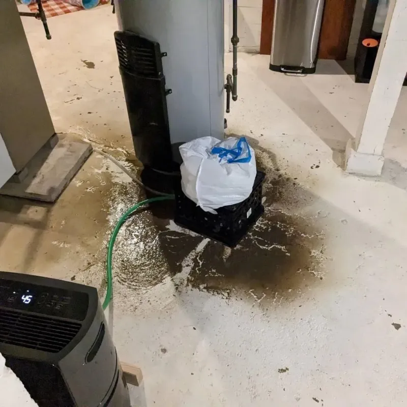 Sewage Backup Cleanup Service in Shenandoah Heights, PA